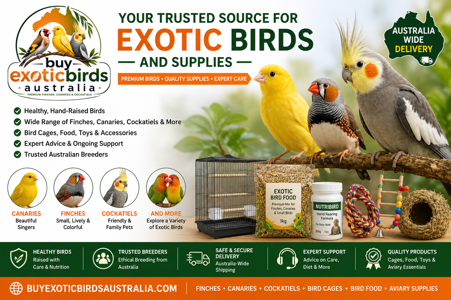 Buy Exotic Birds Australia | Finches, Canaries, Cockatiels & Bird Supplies
